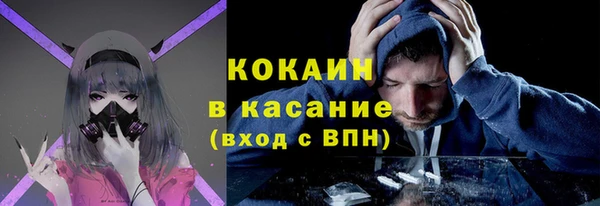 сатива Алзамай