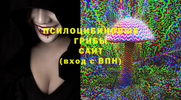 сатива Алексин