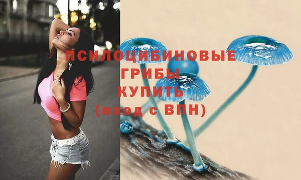 сатива Алзамай